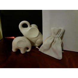 Elefanti famiglia