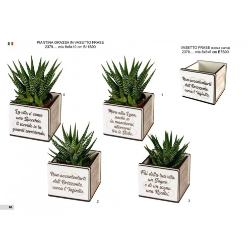 vaso porta pianta con frase  vaso porta pianta con frase