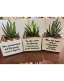 vaso porta pianta con frase  vaso porta pianta con frase