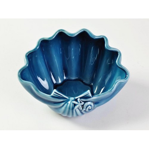conchiglia blu le stelle conchiglia blu le stelle