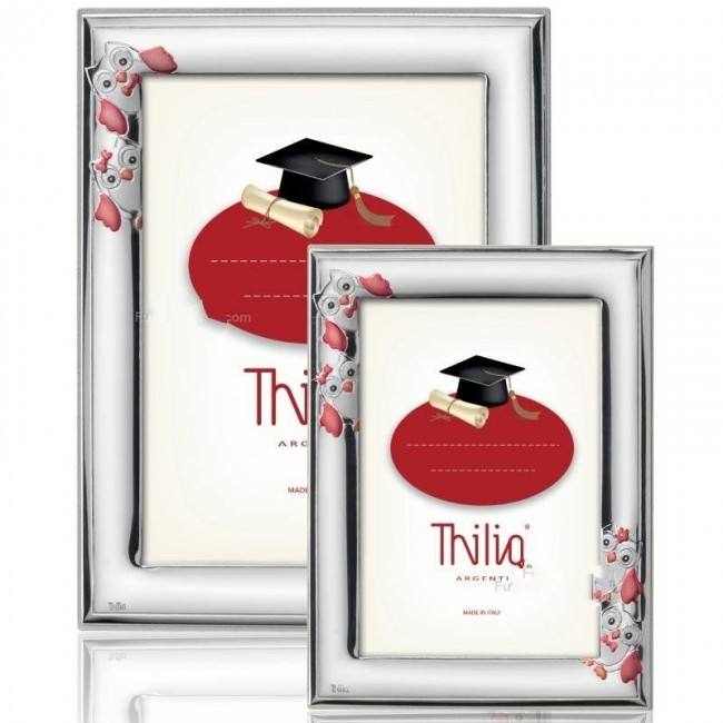 Portafoto laurea gufi
