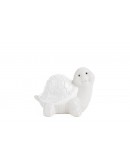 tartaruga bianca le stelle tartaruga bianca le stelle