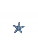stella marina piccola le stelle