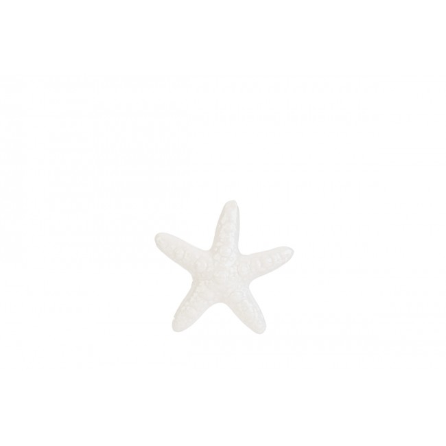 Bomboniera stella marina piccola le stelle