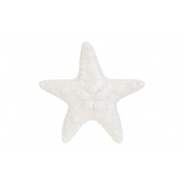 stella marina grande le stelle