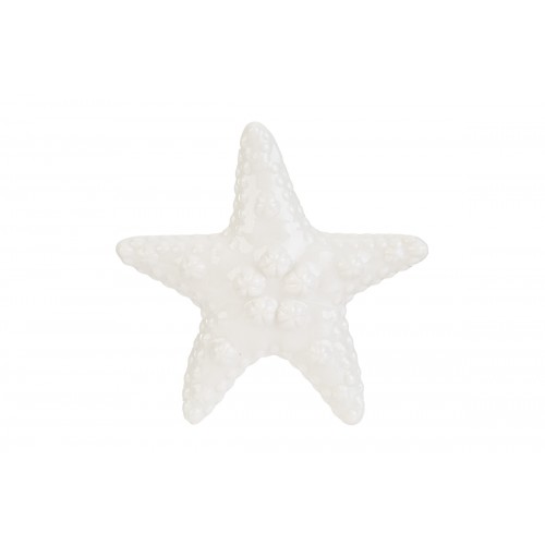 stella marina grande le stelle