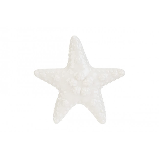 Bomboniera stella marina grande le stelle Bomboniera stella marina grande le stelle