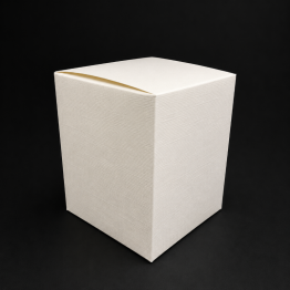 Astuccio scatola avorio 10x10x20 