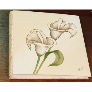 album grande dipinto 