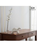 bomboniere tartaruga delfino con led l'infinito