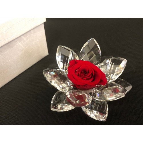 ninfea cristallo 8 cm con rosa vera ninfea cristallo 8 cm con rosa vera