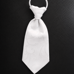 Cravattino elegante bianco