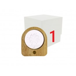 cerchio led con quadrifoglio pallone mappamondo cigni