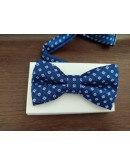 papillon fantasia  papillon fantasia