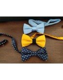 papillon fantasia  papillon fantasia