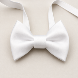 Papillon bianco