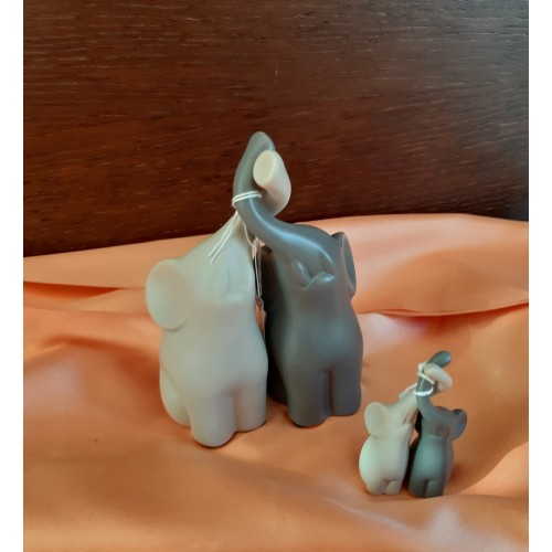 coppia elefanti piccoli coppia elefanti piccoli