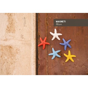 magnete stella marina 5cm