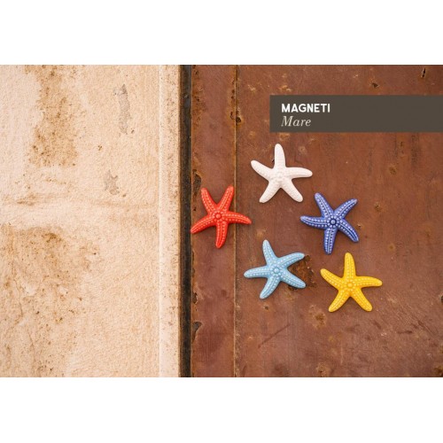 magnete stella marina 5cm magnete stella marina 5cm