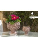vaso pigna per fiori o piante 