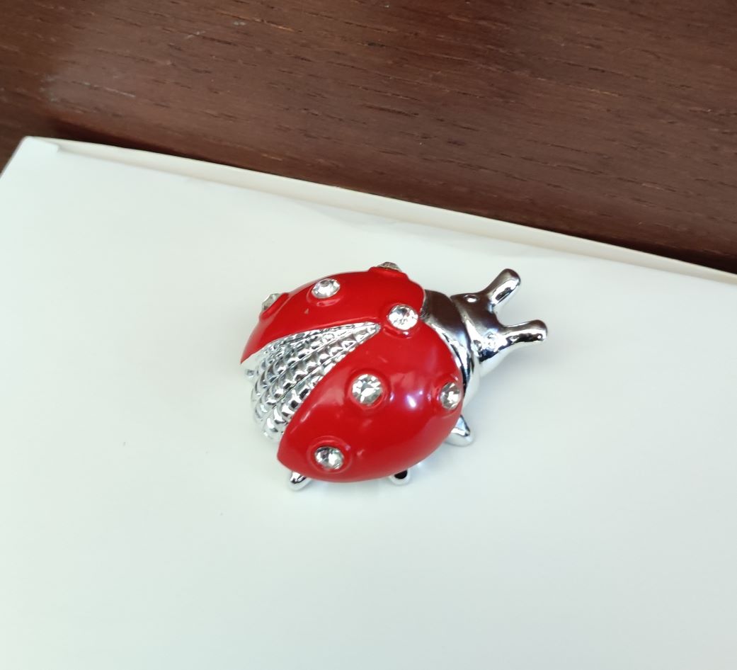 Bomboniera coccinella rossa con strass