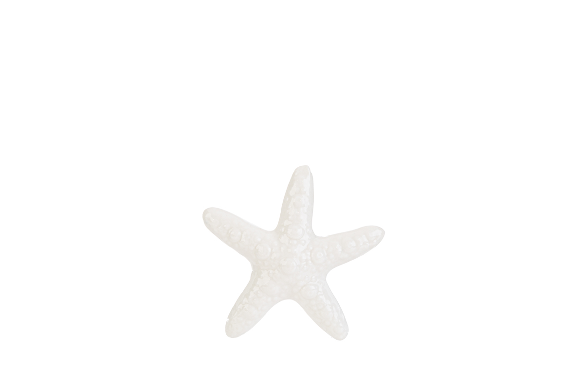 Bomboniera stella marina piccola le stelle