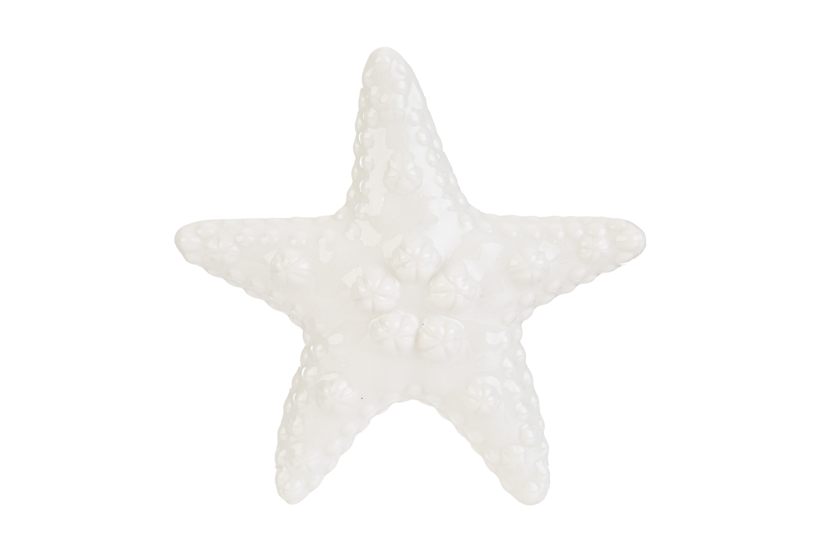 Bomboniera stella marina grande le stelle