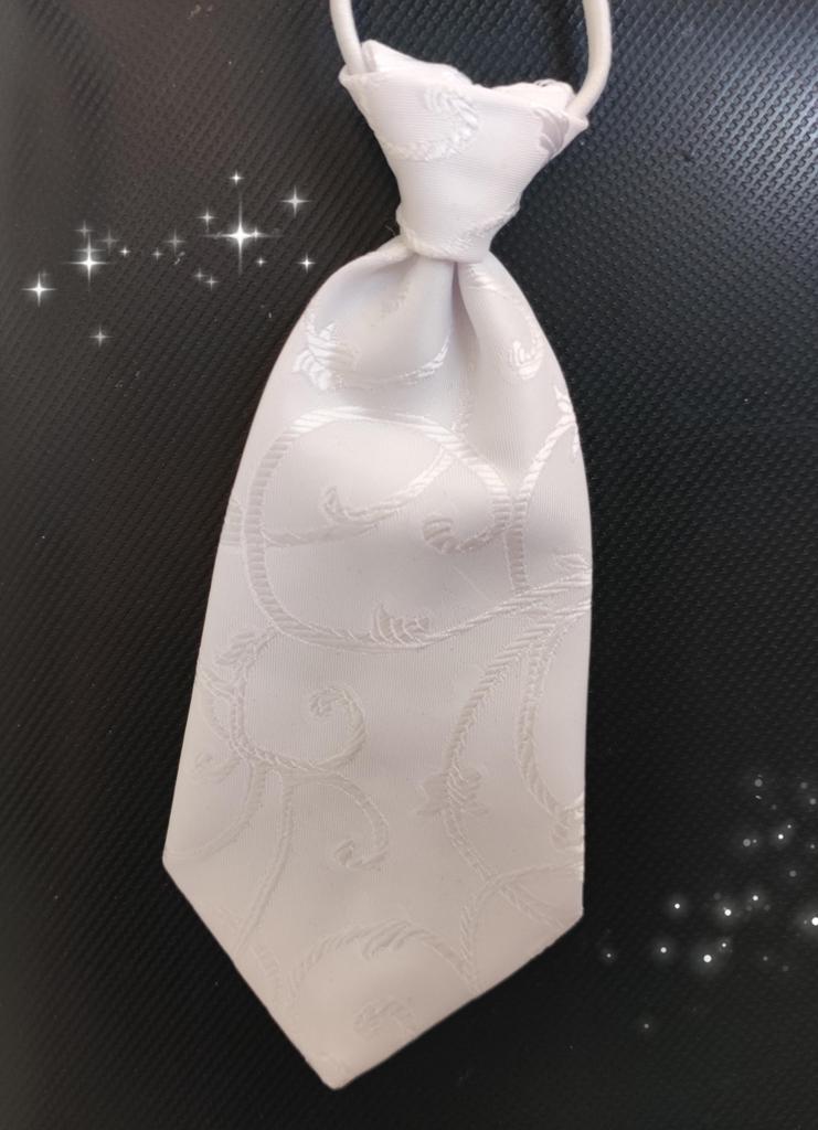 cravattino elegante