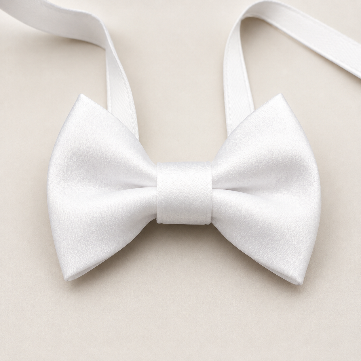 Papillon bianco Papillon bianco