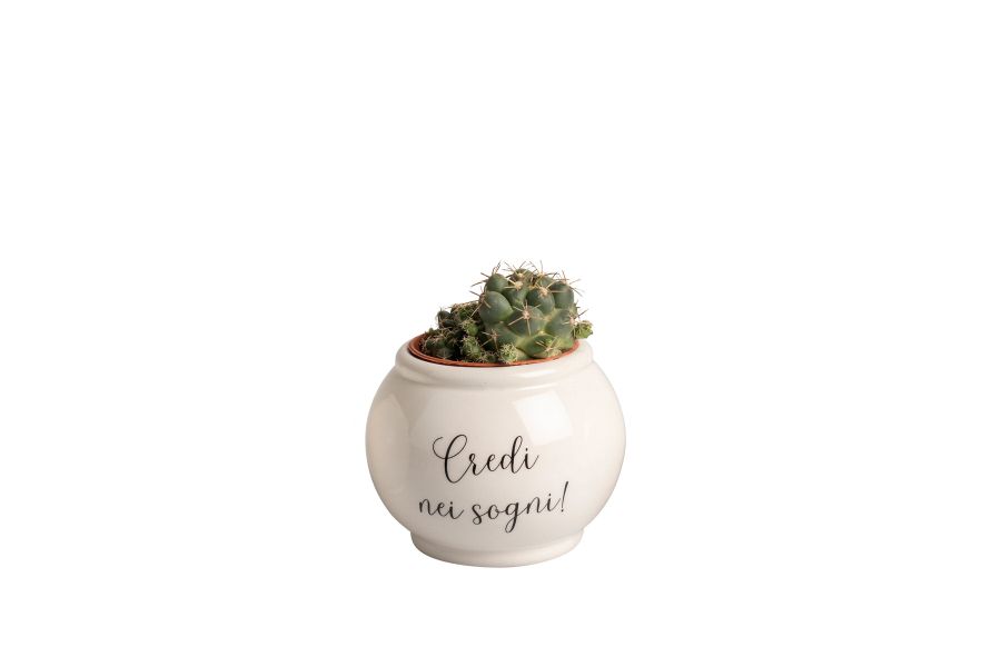 Bomboniera vaso porta pianta con frasi harmony